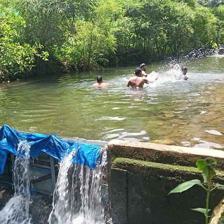 Tharayil Farm Stay Vagamon Exterior photo