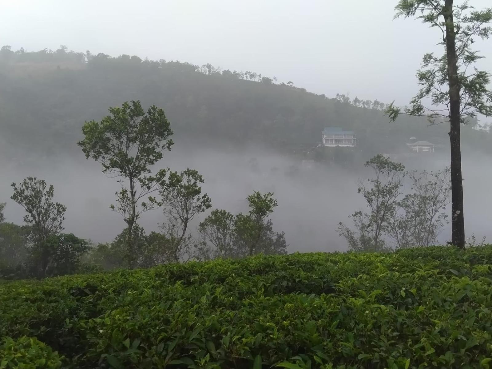 Tharayil Farm Stay Vagamon Exterior photo