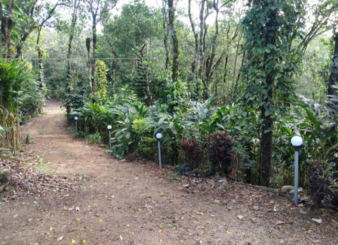 Tharayil Farm Stay Vagamon Exterior photo